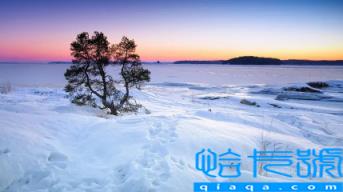 11月是阴月还是阳月(阳历11月称为什么月)