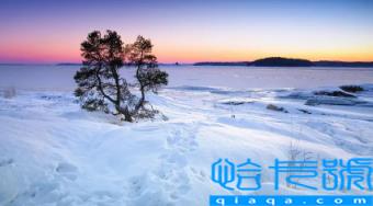 11月是阴月还是阳月(阳历11月称为什么月)