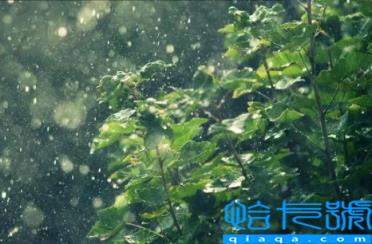 2022年南京11月会下雨吗(南京11月降雨多不多)