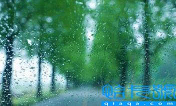 2022年南京11月会下雨吗(南京11月降雨多不多)