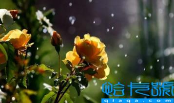 2022小雪节气会不会下雨(小雪节气下雨好还是不下雨好)