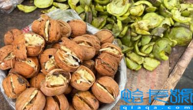 为什么核桃吃起来是苦的(核桃仁的皮又苦又涩怎样去掉)