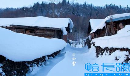 2023小雪节气有雨雪冬天会冷吗(小雪节气有雨雪天气吗)