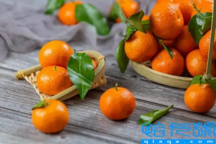 吃很酸的橘子会怎样(吃很酸的橘子会拉肚子吗)