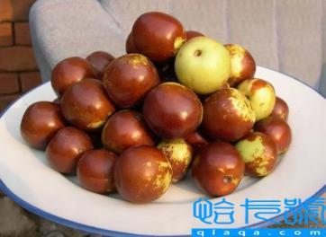 吃冬枣通便还是便秘(吃冬枣为什么有通便的效果)