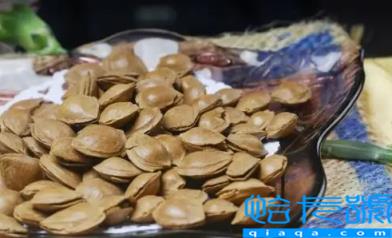 山上的野杏仁能吃吗(中药一般用南杏仁还是北杏仁)