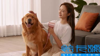 徕芬吹风机要装风嘴吗(趣丁网)