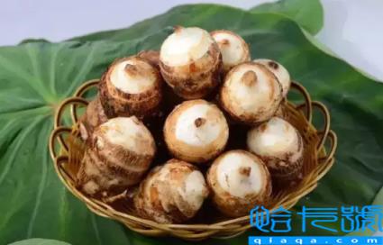 芋头冷冻保存是熟冻还是生冻(芋头蒸熟冷冻还是直接冷冻)