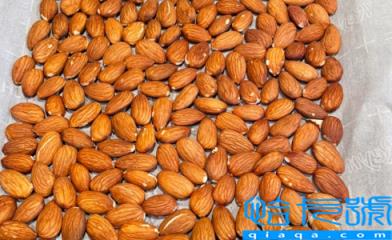 野山杏仁可以直接吃吗有毒吗(野生山杏仁怎么处理才能吃)