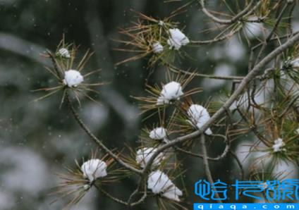 2022小雪节气一般什么温度(小雪大雪节气是最冷的时候吗)