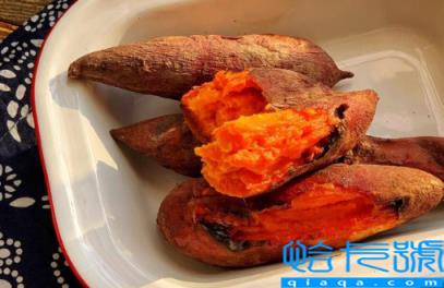 一个烤红薯的热量相当于多少米饭的热量(一个烤红薯相当于几碗米饭的热量)