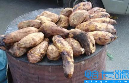 一个烤红薯的热量相当于多少米饭的热量(一个烤红薯相当于几碗米饭的热量)