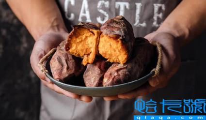 烤红薯和米饭哪个热量高(烤红薯热量比米饭高还是低)