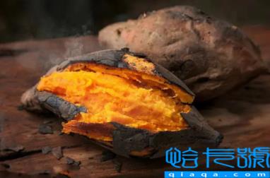 烤红薯和米饭哪个热量高(烤红薯热量比米饭高还是低)