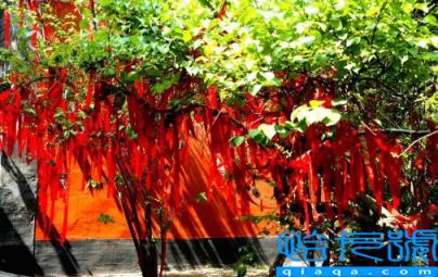 2022年11月3日适合祈福吗(2022年11月祈福黄道吉日有哪些)