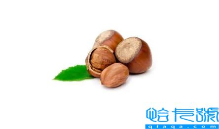 板栗生吃熟吃哪个更好(栗子生吃好还是熟吃好)