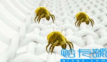 吹风机能杀死螨虫吗(螨虫用吹风机吹多久能杀死)