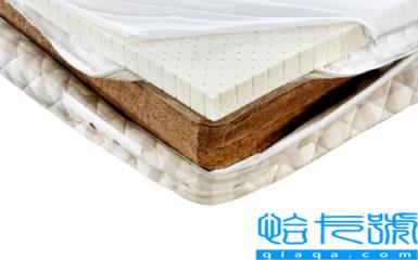 椰棕和黄麻床垫哪种好(黄麻床垫会生虫吗)