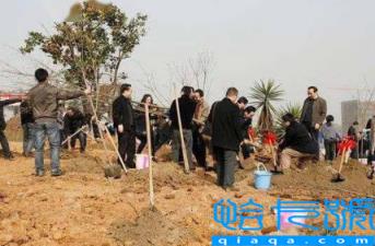 霜降以后还能种树吗(霜降以后种树成活率怎么样)