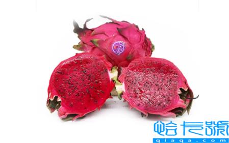 火龙果加热后会变色吗(火龙果加热后为什么会变色)