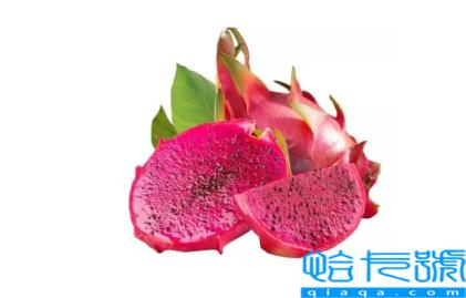 火龙果加热后会变色吗(火龙果加热后为什么会变色)