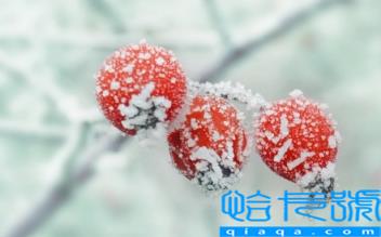 2022年霜降会提前吗(先立冬还是先霜降)