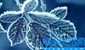 2022年霜降会提前吗(先立冬还是先霜降)