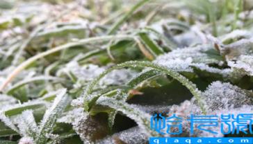 2022年霜冻会早来还是晚来(2022年什么时候会出现霜冻)