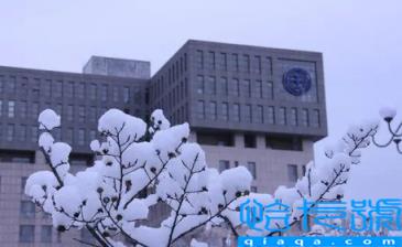 11月去北京玩五天是固定一个酒店好吗(在北京旅游五天住在同一个酒店方便吗)
