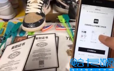 2022年得物双十一发货快吗(双十一得物多久发货)