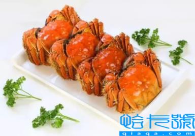 吃没熟的螃蟹会感染寄生虫吗(吃半生的大闸蟹会感染寄生虫吗)