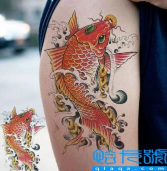 锦鲤纹一条还是两条(锦鲤纹在什么位置最佳)