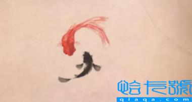 锦鲤纹一条还是两条(锦鲤纹在什么位置最佳)