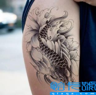 锦鲤纹一条还是两条(锦鲤纹在什么位置最佳)