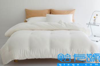 100元左右的大豆被是真的吗(大豆纤维被一般多少钱是真的)