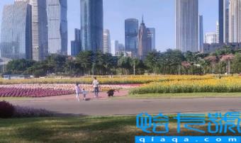 广州12月份平均气温是多少(广州12月份能穿羽绒服吗)