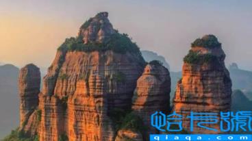 广东11月份穿短袖还是长袖(11月份去广州穿什么衣服合适)