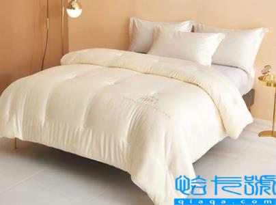 大豆纤维被可以洗衣机洗吗(大豆纤维被脏了怎么洗掉)