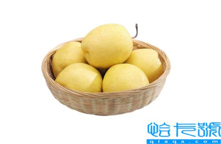 雪花梨含糖量高吗(雪花梨含糖量是多少)