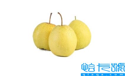 雪花梨含糖量高吗(雪花梨含糖量是多少)