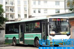 广州11月份冷不冷(11月份的广州是什么温度)