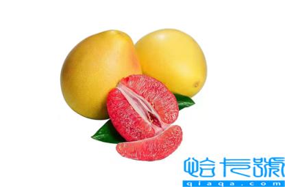 柚子可以榨汁喝吗(柚子和什么一起榨汁好喝)