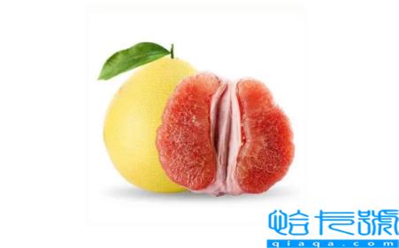 柚子可以榨汁喝吗(柚子和什么一起榨汁好喝)