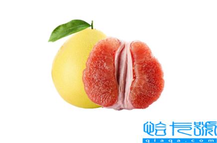 柚子可以煮水果茶吃吗(柚子怎么煮水果茶好喝又简单)