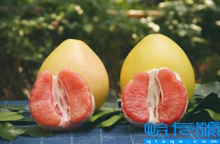 柚子蒸熟了发苦能吃吗(柚子蒸了很苦能吃吗)