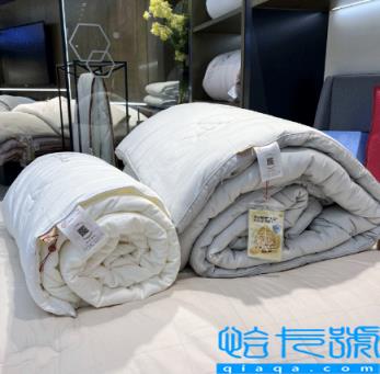 大豆被是白色好还是黄色好(大豆纤维被里面是越黄越好吗)