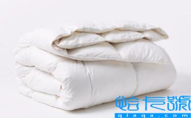 南方适合羽绒被还是大豆被(南方冬天盖6斤大豆被会冷吗)