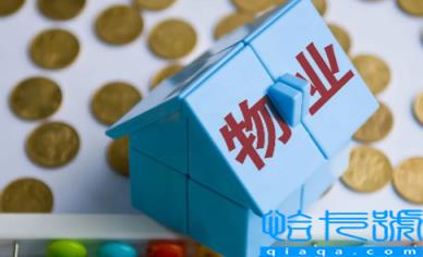 物业费收费是按年还是按月(物业费收费要提供发票吗)