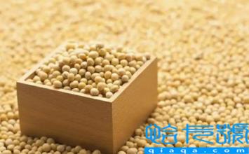 大豆被和蚕丝被哪个适合孩子(大豆被和蚕丝被哪个好)