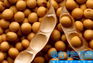 大豆被和蚕丝被哪个适合孩子(大豆被和蚕丝被哪个好)